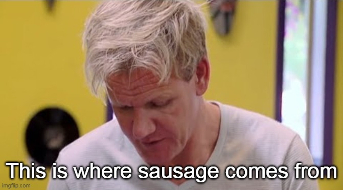 FINALLY SOME GOOD FOOD | This is where sausage comes from | image tagged in finally some good food | made w/ Imgflip meme maker
