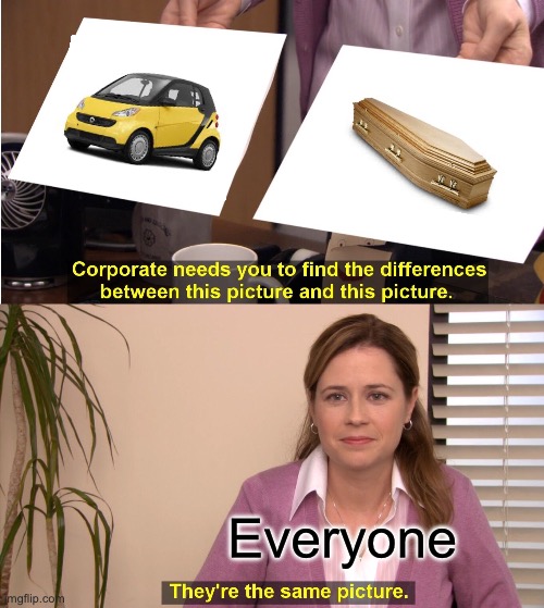 Face the facts: it’s just a coffin on wheels | Everyone | image tagged in memes,they're the same picture | made w/ Imgflip meme maker