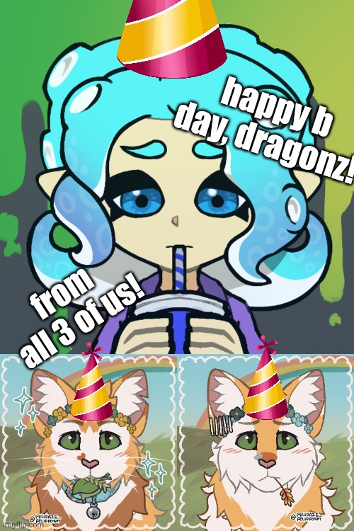 happy b day, dragonz! from all 3 of us! | image tagged in my kittypet | made w/ Imgflip meme maker