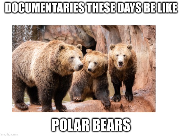 woke | DOCUMENTARIES THESE DAYS BE LIKE; POLAR BEARS | image tagged in racism | made w/ Imgflip meme maker