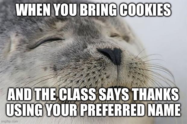Yay ? | WHEN YOU BRING COOKIES; AND THE CLASS SAYS THANKS USING YOUR PREFERRED NAME | image tagged in memes,satisfied seal | made w/ Imgflip meme maker