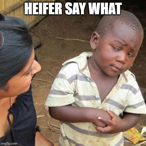 No, no, no | HEIFER SAY WHAT | image tagged in memes,third world skeptical kid | made w/ Imgflip meme maker