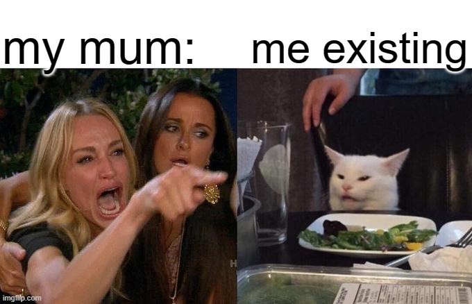 Woman Yelling At Cat Meme | my mum:; me existing | image tagged in memes,woman yelling at cat | made w/ Imgflip meme maker