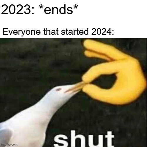 I just ended 2023 for the rest of the year | 2023: *ends*; Everyone that started 2024: | image tagged in shut,memes | made w/ Imgflip meme maker