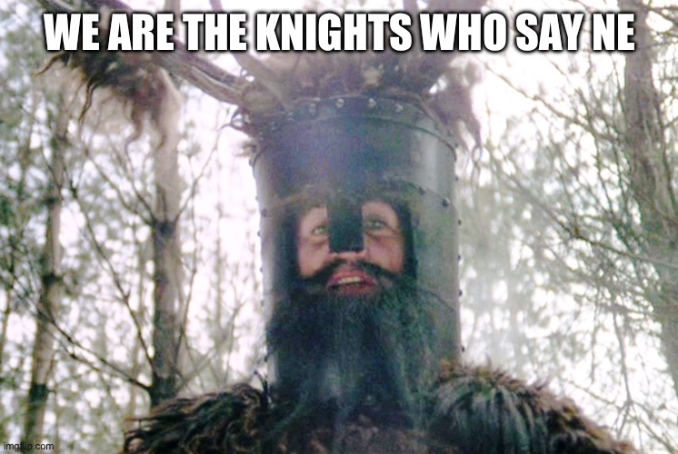 Knights who say ni | WE ARE THE KNIGHTS WHO SAY NE | image tagged in knights who say ni | made w/ Imgflip meme maker