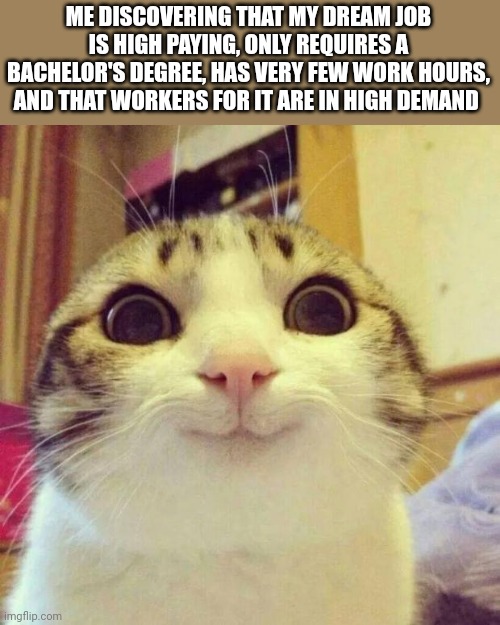 Lots Happy :D | ME DISCOVERING THAT MY DREAM JOB IS HIGH PAYING, ONLY REQUIRES A BACHELOR'S DEGREE, HAS VERY FEW WORK HOURS, AND THAT WORKERS FOR IT ARE IN HIGH DEMAND | image tagged in memes,smiling cat | made w/ Imgflip meme maker