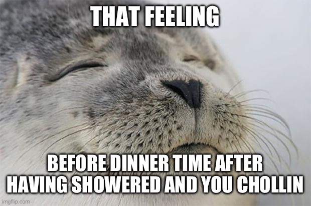 Finna go game for 10 minutes | THAT FEELING; BEFORE DINNER TIME AFTER HAVING SHOWERED AND YOU CHILLING | image tagged in memes,satisfied seal | made w/ Imgflip meme maker