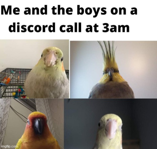 me and the boys on a discord call at 3 am | image tagged in me and the boys at 3 am,me and the boys,discord | made w/ Imgflip meme maker