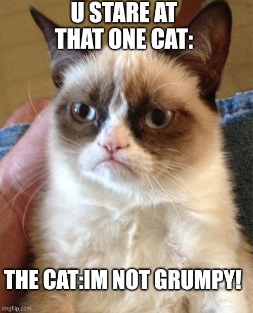 Grumpy Cat | U STARE AT THAT ONE CAT:; THE CAT:IM NOT GRUMPY! | image tagged in memes,grumpy cat | made w/ Imgflip meme maker