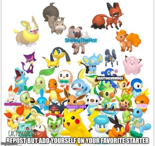 BRAXTONCUMMINGS | image tagged in pokemon | made w/ Imgflip meme maker