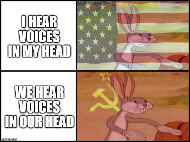 Capitalist and communist | I HEAR VOICES IN MY HEAD; WE HEAR VOICES IN OUR HEAD | image tagged in capitalist and communist | made w/ Imgflip meme maker