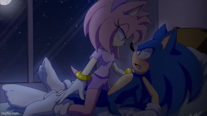Sonamy! | image tagged in sonamy | made w/ Imgflip meme maker