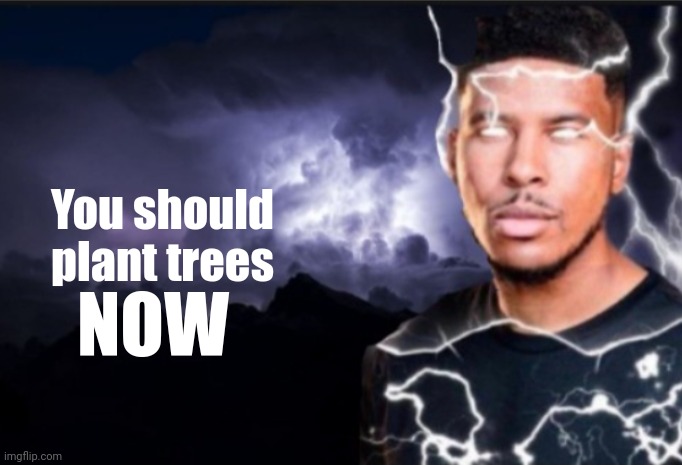 K wodr blank | You should plant trees NOW | image tagged in k wodr blank | made w/ Imgflip meme maker