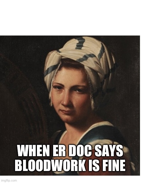 SIDE EYE LADY RENAISSANCE | WHEN ER DOC SAYS BLOODWORK IS FINE | image tagged in side eye lady renaissance | made w/ Imgflip meme maker