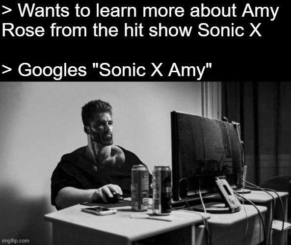 Gigachad On The Computer | > Wants to learn more about Amy
Rose from the hit show Sonic X
 
> Googles "Sonic X Amy" | image tagged in gigachad on the computer | made w/ Imgflip meme maker