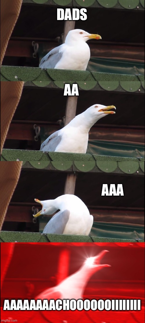 Why do Dads always do this | DADS; AA; AAA; AAAAAAAACHOOOOOOIIIIIIII | image tagged in memes,inhaling seagull | made w/ Imgflip meme maker