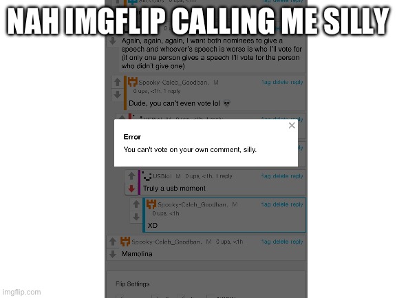 Bruh | NAH IMGFLIP CALLING ME SILLY | image tagged in blank white template | made w/ Imgflip meme maker