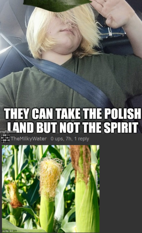 bullying for fun | made w/ Imgflip meme maker