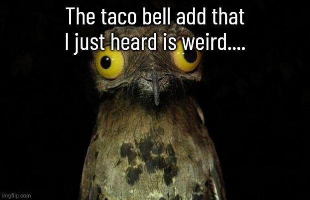 Weird Stuff I Do Potoo | The taco bell add that I just heard is weird.... | image tagged in memes,weird stuff i do potoo | made w/ Imgflip meme maker