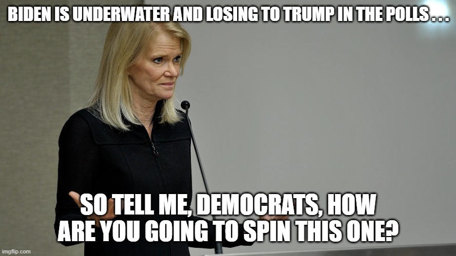 Martha Raddatz Asks the Unanswerable Question | BIDEN IS UNDERWATER AND LOSING TO TRUMP IN THE POLLS . . . SO TELL ME, DEMOCRATS, HOW ARE YOU GOING TO SPIN THIS ONE? | image tagged in martha raddatz,donald trump,joe biden,2024 election | made w/ Imgflip meme maker