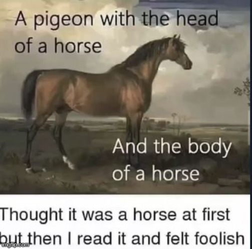 image tagged in memes,funny | made w/ Imgflip meme maker