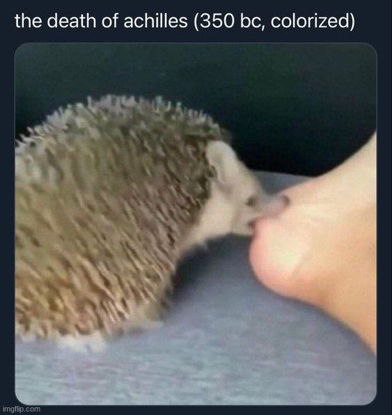 image tagged in memes,funny | made w/ Imgflip meme maker