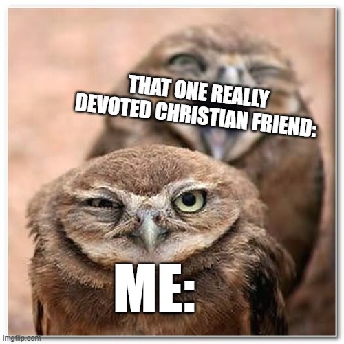 Not funny | THAT ONE REALLY DEVOTED CHRISTIAN FRIEND: ME: | image tagged in not funny | made w/ Imgflip meme maker