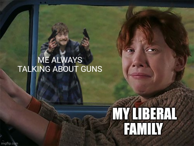 I love my boomsticks | ME ALWAYS TALKING ABOUT GUNS; MY LIBERAL FAMILY | image tagged in harry with guns scared ron | made w/ Imgflip meme maker