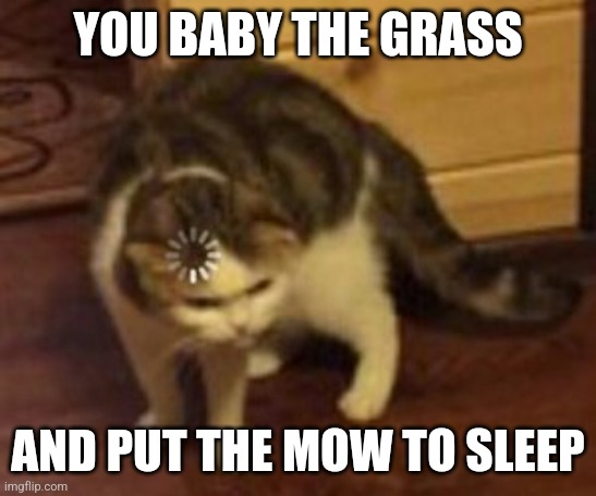 Loading cat | YOU BABY THE GRASS AND PUT THE MOW TO SLEEP | image tagged in loading cat | made w/ Imgflip meme maker