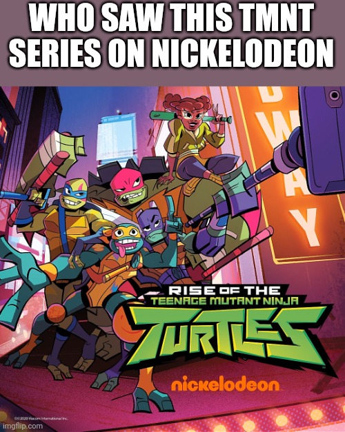 WHO SAW THIS TMNT SERIES ON NICKELODEON | made w/ Imgflip meme maker