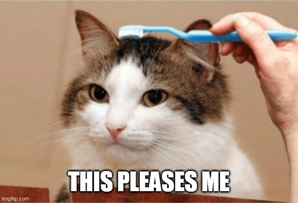 this pleases me cat | THIS PLEASES ME | image tagged in this pleases me cat | made w/ Imgflip meme maker