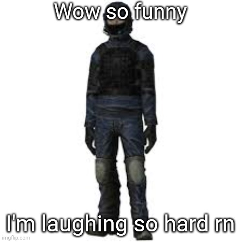 the he | Wow so funny I'm laughing so hard rn | image tagged in the he | made w/ Imgflip meme maker