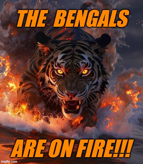 Bengals Football | THE  BENGALS; ARE ON FIRE!!! | image tagged in bengals | made w/ Imgflip meme maker
