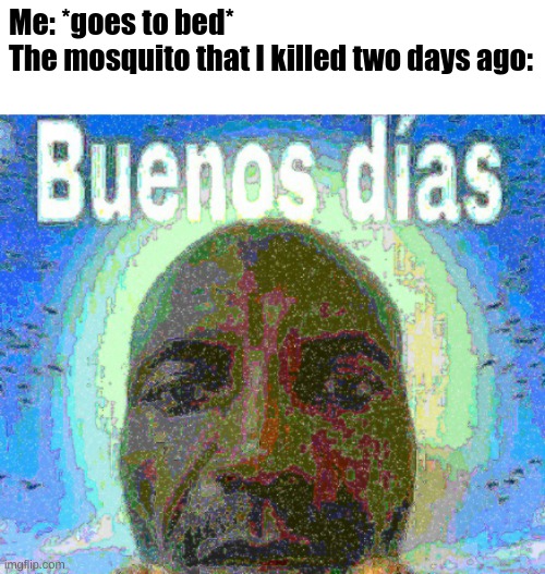it's funny because he's waking me up, and buenos dias means good morning | Me: *goes to bed*
The mosquito that I killed two days ago: | image tagged in buenos dias,sleep,mosquito,mosquitoes | made w/ Imgflip meme maker