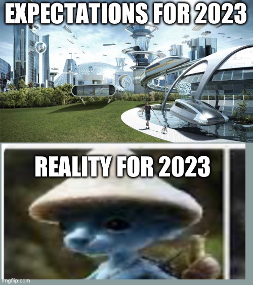 We live, we love, we lie | EXPECTATIONS FOR 2023; REALITY FOR 2023 | image tagged in the future world if | made w/ Imgflip meme maker