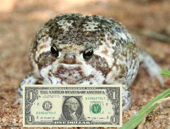 This is froggo with some money | image tagged in froggo,dragonz,cute,plz dont kill him | made w/ Imgflip meme maker