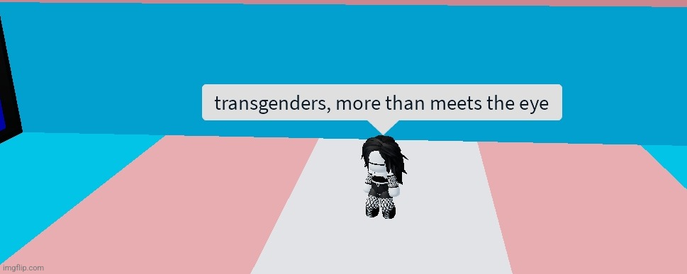 Transgenders, more than meets the eye | image tagged in transformers,lgbtq | made w/ Imgflip meme maker