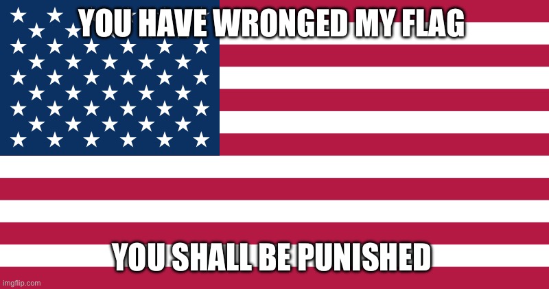 YOU HAVE WRONGED MY FLAG YOU SHALL BE PUNISHED | made w/ Imgflip meme maker