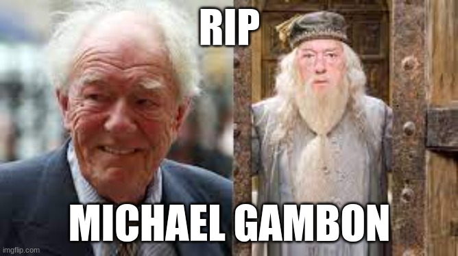 rippppp | RIP; MICHAEL GAMBON | image tagged in harry potter,dumbledore | made w/ Imgflip meme maker
