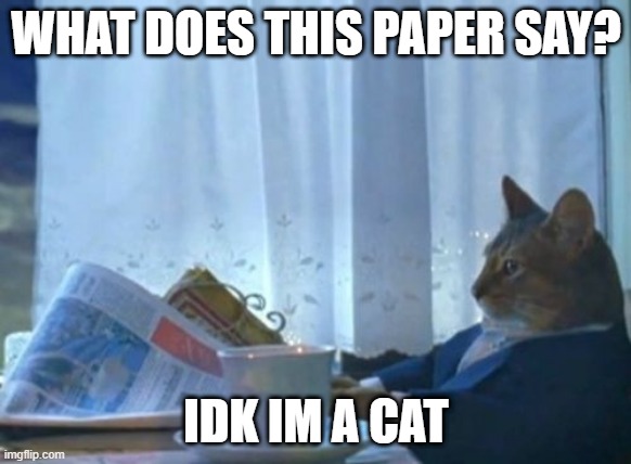 silly cat | WHAT DOES THIS PAPER SAY? IDK IM A CAT | image tagged in memes,i should buy a boat cat | made w/ Imgflip meme maker