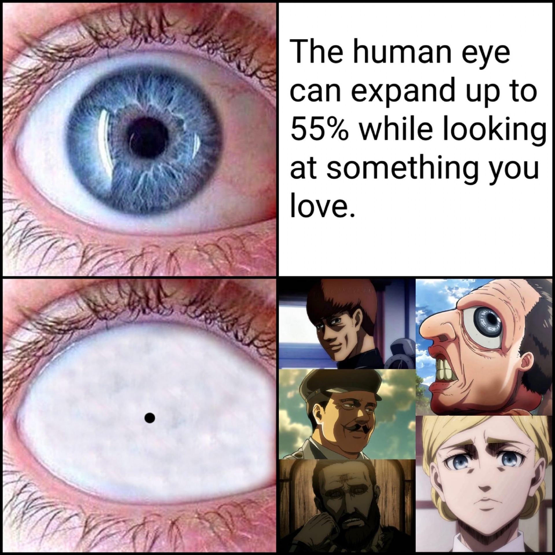 High Quality Attack on Titan Blank Meme Template