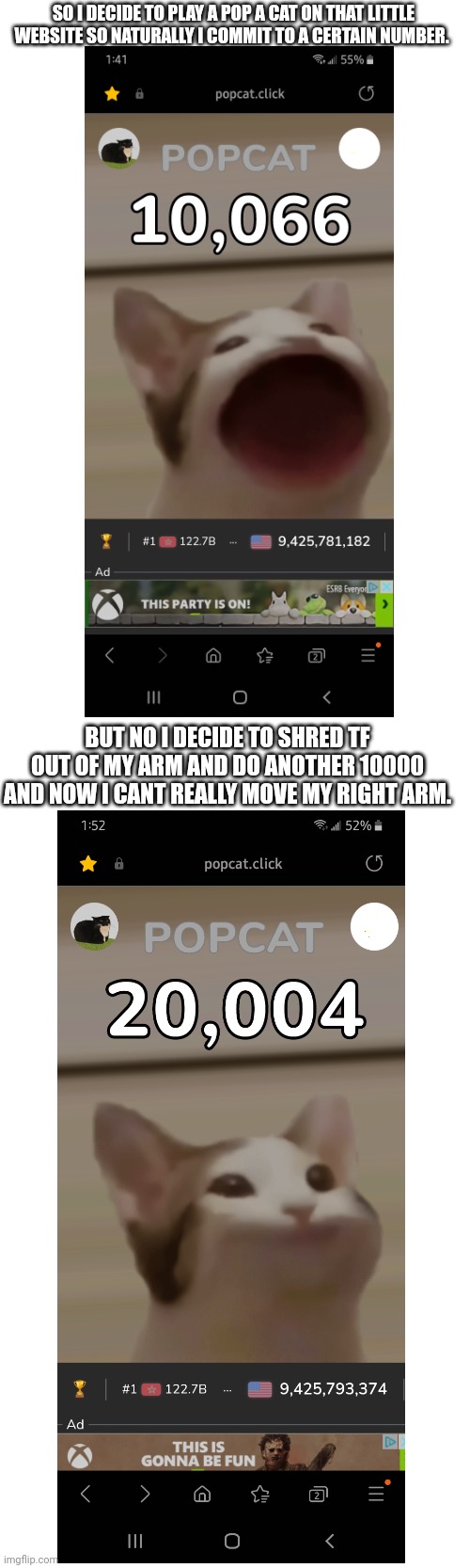 Pop a cat | SO I DECIDE TO PLAY A POP A CAT ON THAT LITTLE WEBSITE SO NATURALLY I COMMIT TO A CERTAIN NUMBER. BUT NO I DECIDE TO SHRED TF OUT OF MY ARM AND DO ANOTHER 10000 AND NOW I CANT REALLY MOVE MY RIGHT ARM. | image tagged in who reads these | made w/ Imgflip meme maker
