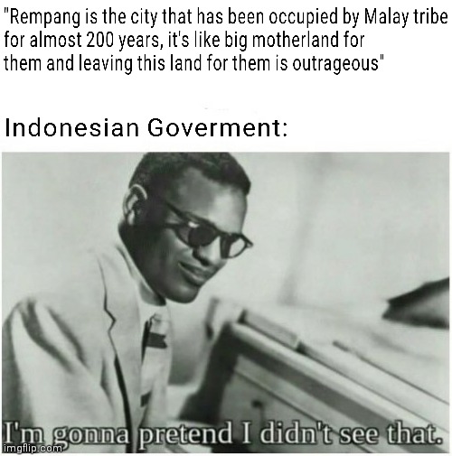 :( | image tagged in im gonna pretend i didnt see that,rempang,indonesian | made w/ Imgflip meme maker