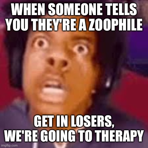 Ai generated meme, W ai | WHEN SOMEONE TELLS YOU THEY'RE A ZOOPHILE; GET IN LOSERS, WE'RE GOING TO THERAPY | image tagged in ishowspeed | made w/ Imgflip meme maker