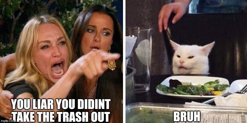 bruh trash | YOU LIAR YOU DIDINT TAKE THE TRASH OUT; BRUH | image tagged in smudge the cat | made w/ Imgflip meme maker