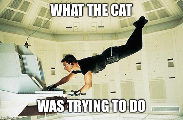 Mission impossible | WHAT THE CAT WAS TRYING TO DO | image tagged in mission impossible | made w/ Imgflip meme maker