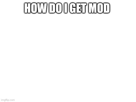 Blank White Template | HOW DO I GET MOD | image tagged in blank white template | made w/ Imgflip meme maker