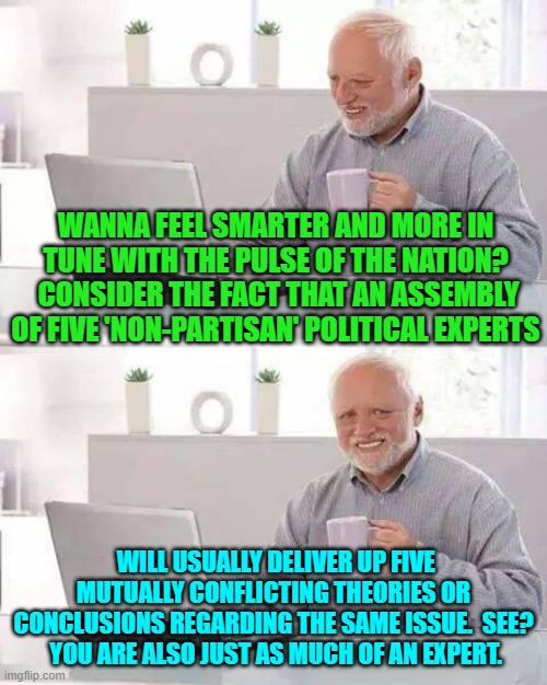 Outside of hard  science or blue collar work work, experts are people with good press agents. | WANNA FEEL SMARTER AND MORE IN TUNE WITH THE PULSE OF THE NATION?  CONSIDER THE FACT THAT AN ASSEMBLY OF FIVE 'NON-PARTISAN' POLITICAL EXPERTS; WILL USUALLY DELIVER UP FIVE MUTUALLY CONFLICTING THEORIES OR CONCLUSIONS REGARDING THE SAME ISSUE.  SEE?  YOU ARE ALSO JUST AS MUCH OF AN EXPERT. | image tagged in hide the pain harold | made w/ Imgflip meme maker