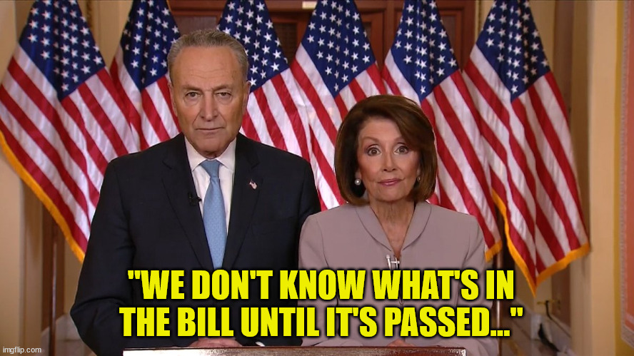 Chuck and Nancy | "WE DON'T KNOW WHAT'S IN THE BILL UNTIL IT'S PASSED..." | image tagged in chuck and nancy | made w/ Imgflip meme maker