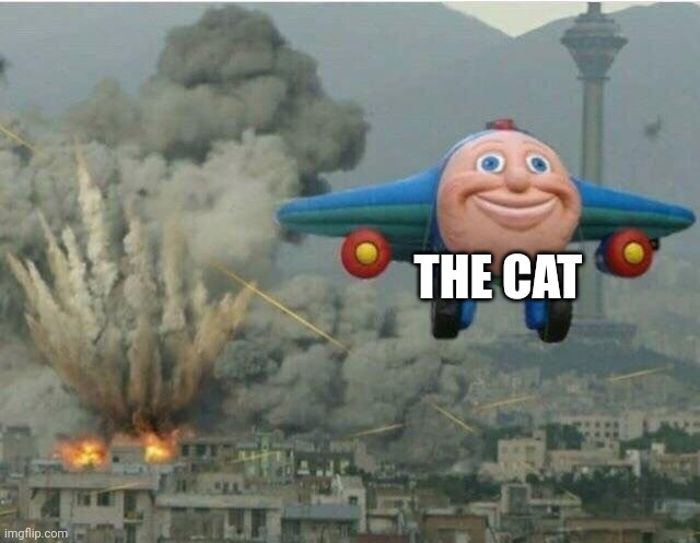 Jay jay the plane | THE CAT | image tagged in jay jay the plane | made w/ Imgflip meme maker